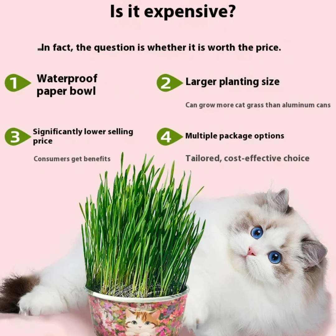 Organic Cat Grass By F&C™