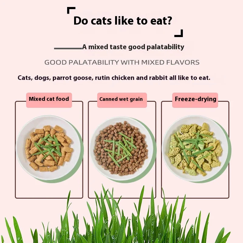 Organic Cat Grass By F&C™