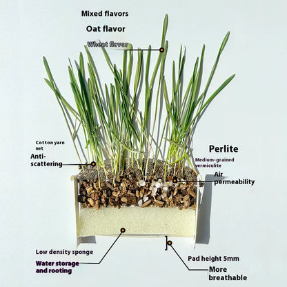 Organic Cat Grass By F&C™