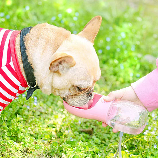 Pet Water Bottle™